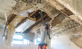 Best Post-Construction Mold Inspection  in St Cloud, MN